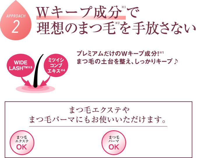 Wキープ成分※1で理想のまつ毛※2を手放さない
