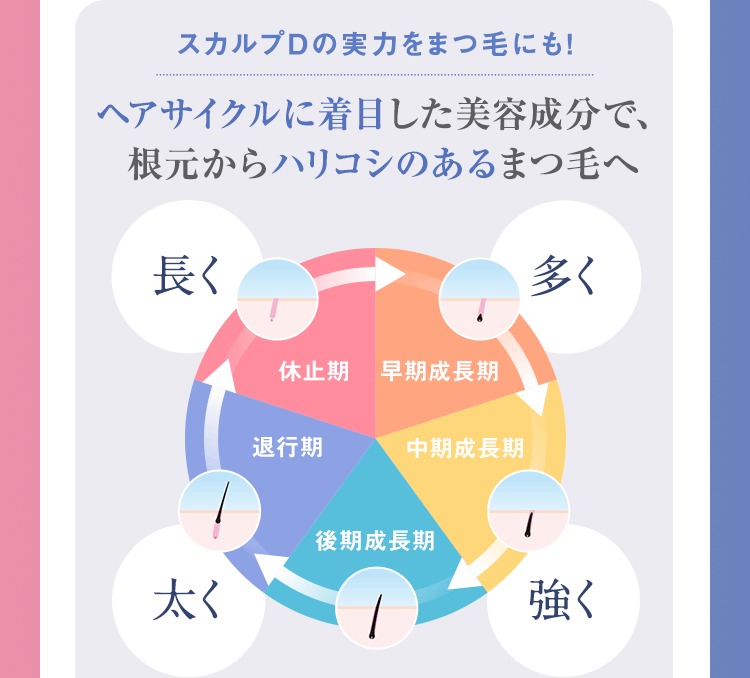 スカルプDの実力をまつ毛にも! ヘアサイクルに着目した美容成分で、根元からハリコシのあるまつ毛へ