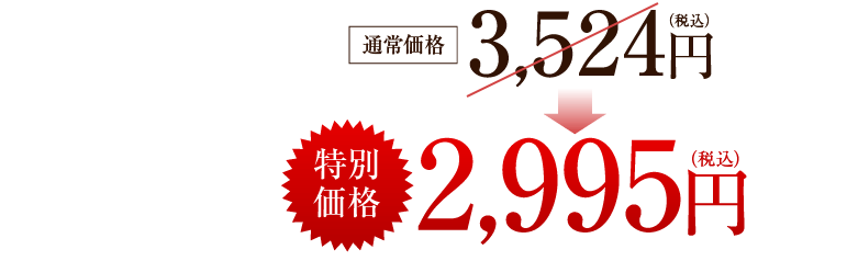 通常価格3,460円(税込)→特別価格2,941円(税込)