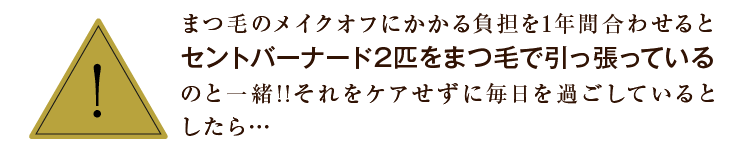 まつ毛のメイクオフにかかる負担を1年間合わせるとセントバーナード2匹をまつ毛で引っ張っているのと一緒!!それをケアせずに毎日を過ごしているとしたら…