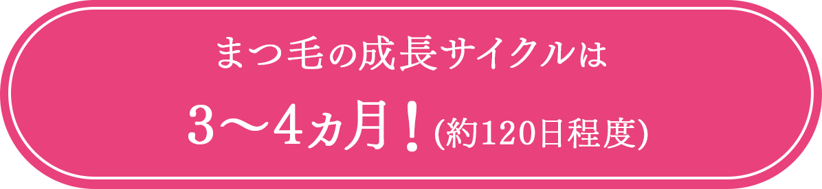 まつ毛の成長サイクルは3～4ヵ月！(約120日程度)