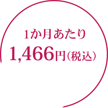 1か月あたり1,466円（税込）