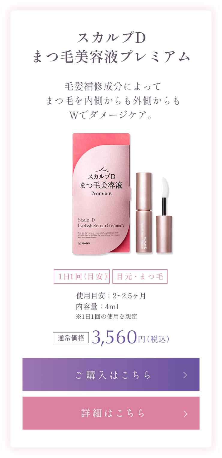 ラインナップ