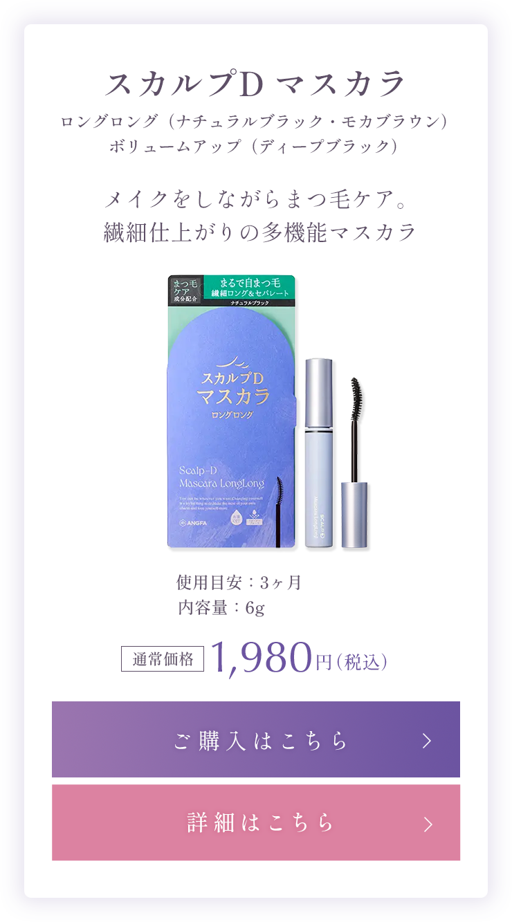 ラインナップ