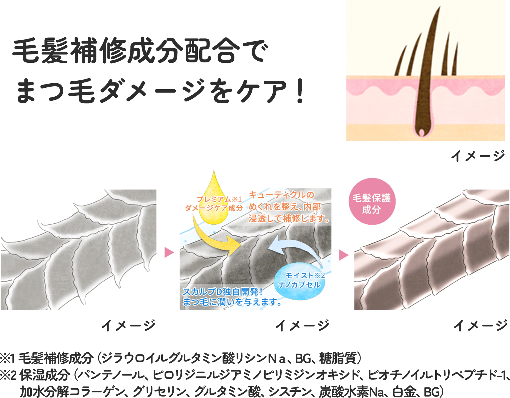 毛髪補修成分配合でまつ毛ダメージをケア！ イメージ