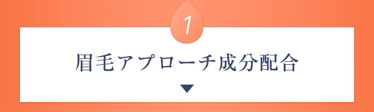 眉毛アプローチ成分配合