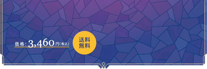 価格:3,460円(税込)送料無料