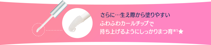 さらに…生え際から塗りやすい ふわふわカールチップで持ち上げるようにしっかりまつ育※1★