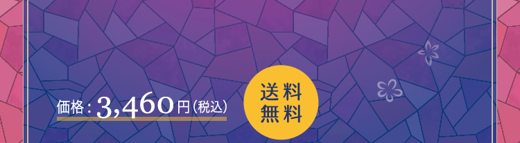 価格:3,460円(税込)送料無料