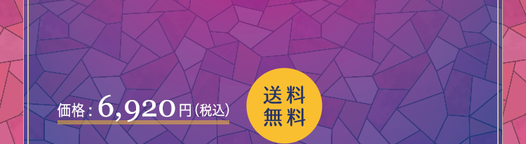 価格:6,920円(税込)送料無料