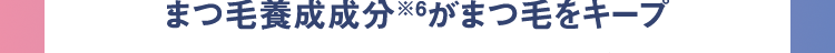 まつ毛養成成分※6がまつ毛をキープ