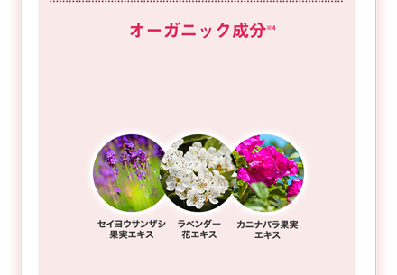 オーガニック成分※4