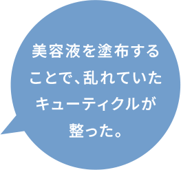 美容液を塗布することで、乱れていたキューティクルが整った。