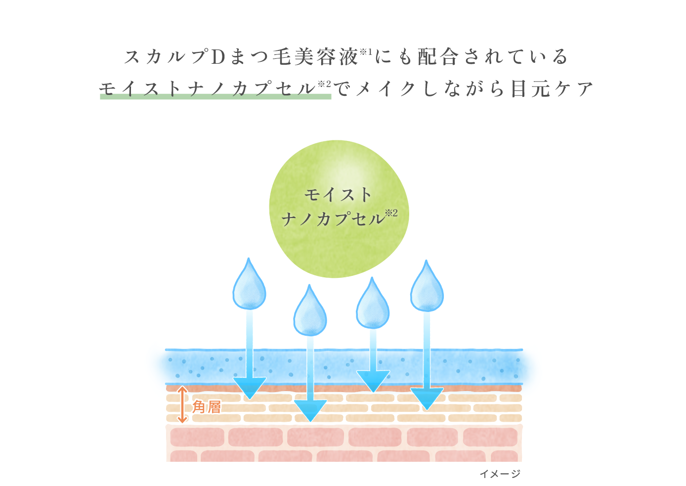 スカルプDまつ毛美容液※1にも配合されているモイストナノカプセル※2でメイクしながら目元ケア