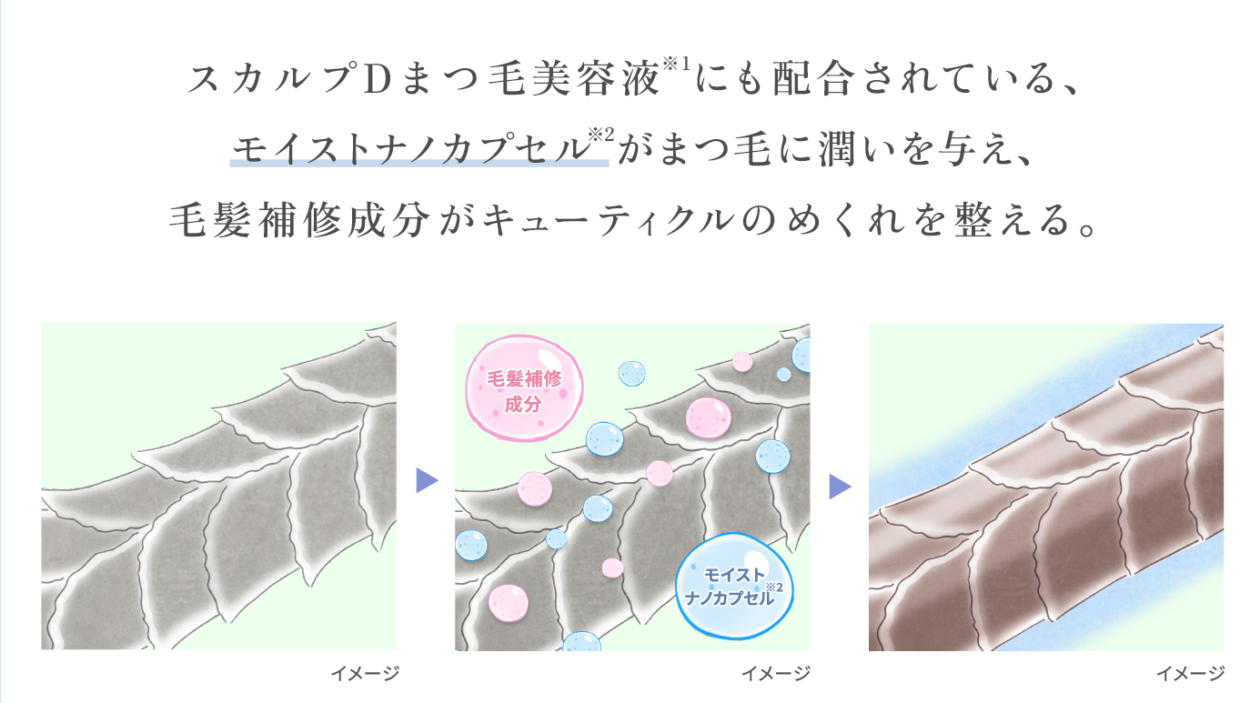 スカルプDまつ毛美容液※1にも配合されている、モイストナノカプセル※2がまつ毛に潤いを与え、毛髪補修成分がキューティクルのめくれを整える。